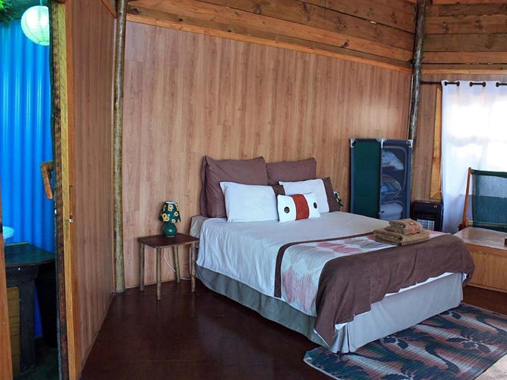 Amapondo Backpacker Lodge Port Saint Johnʼs Habitación foto