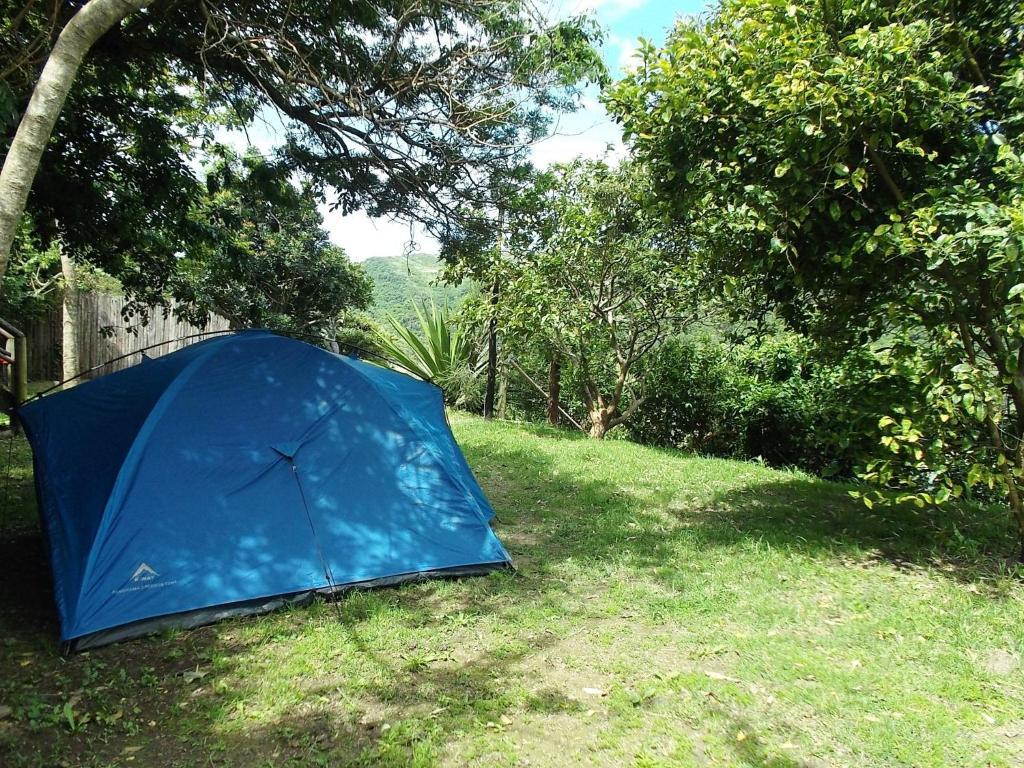 Amapondo Backpacker Lodge Port Saint Johnʼs Exterior foto